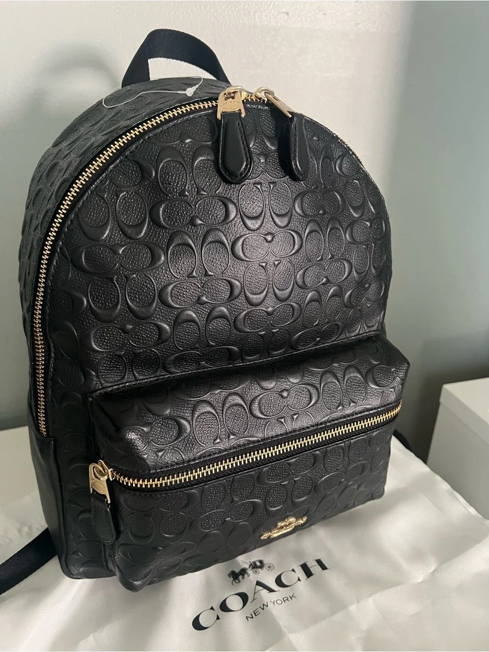 Coach Medium Charlie Backpack In Signature Leather